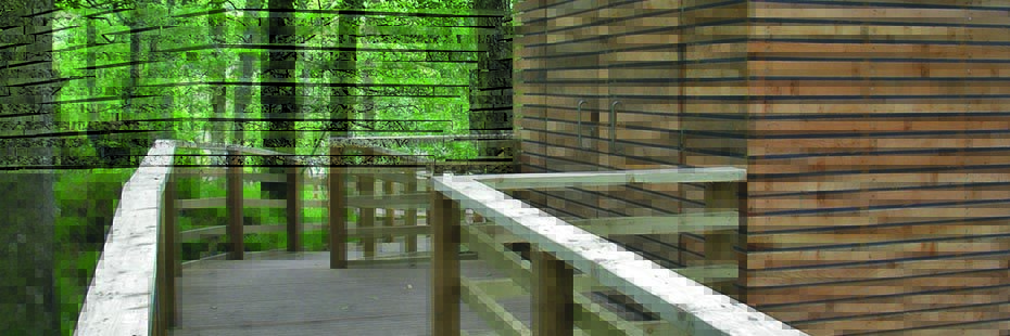 inchcailloch-composting-wooden-toilet-block-in-green-lush-forest