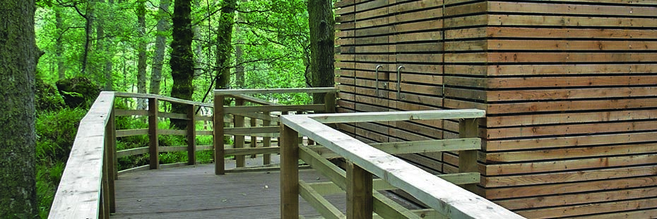 inchcailloch-composting-wooden-toilet-block-in-green-lush-forest