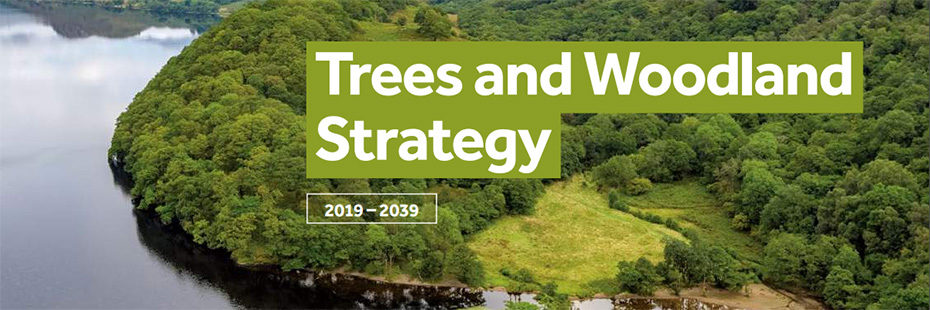 trees-and-woodlands-strategy-publication-front-cover-view-of-forest-on-shore-of-loch-lomond