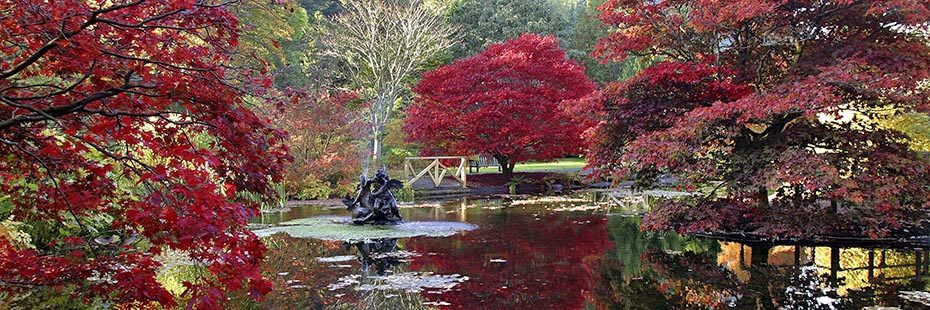 benmore-botanic-gardens-red-acer-trees-surrounding-pond