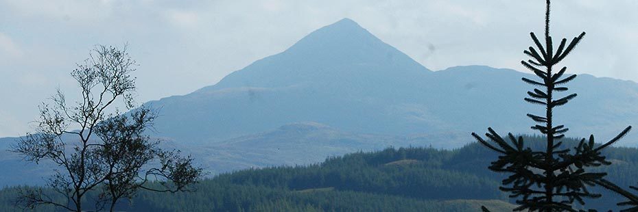 pyramidical-shape-of-ben-lomond-above-forests-as-seen-from-glen-loin-bike-circuit