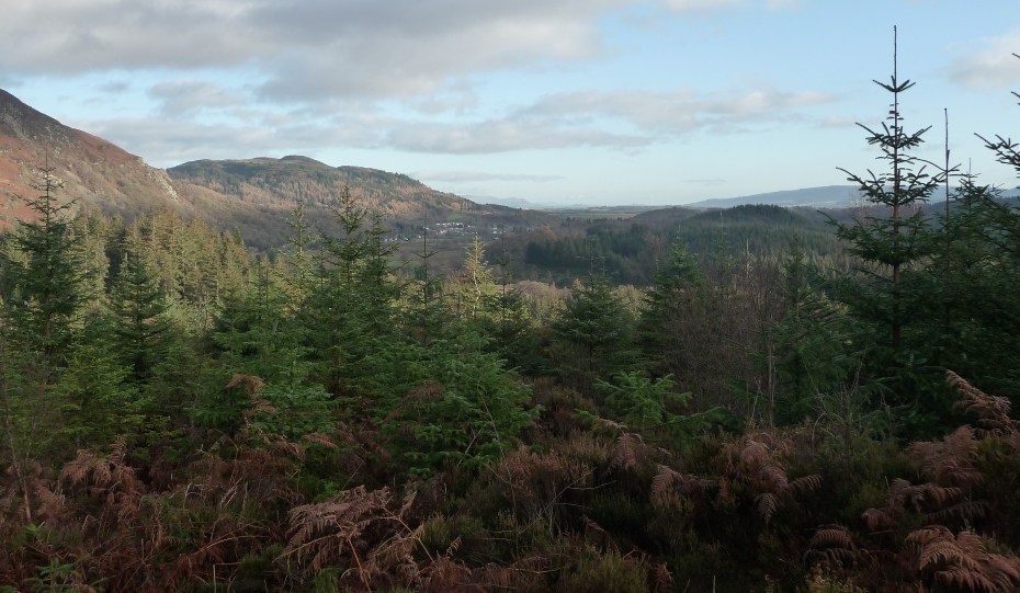 looking-out-over-aberfoyle-forestry