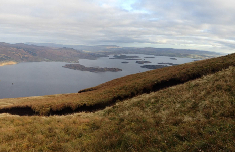 looking-over-loch-lomond-islands-from-mountain-bog