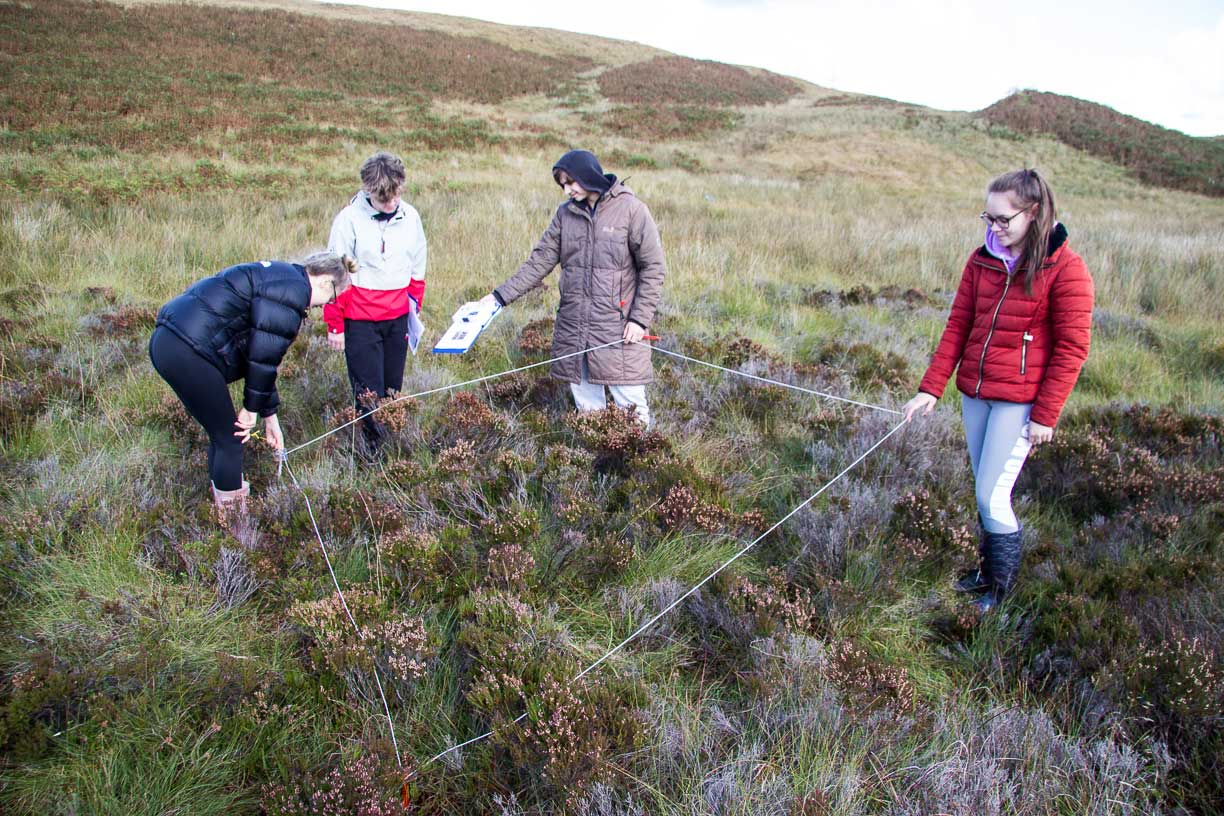 four-young-people-carrying-out-tests-on-peatland