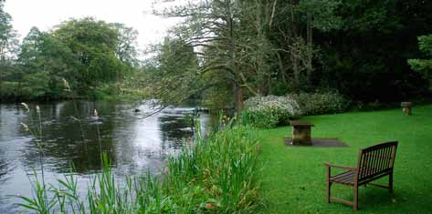 bench-on-bank-of-river-teith