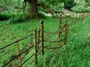 traditional fencing