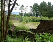 walled garden at glenfinart