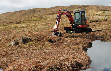 peatland-restoration