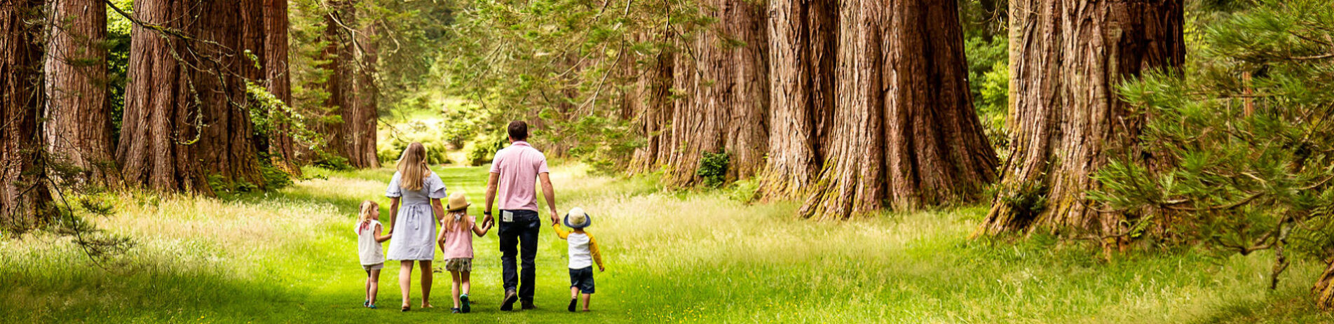 family walks down benmore botanic garden seqoia avenue