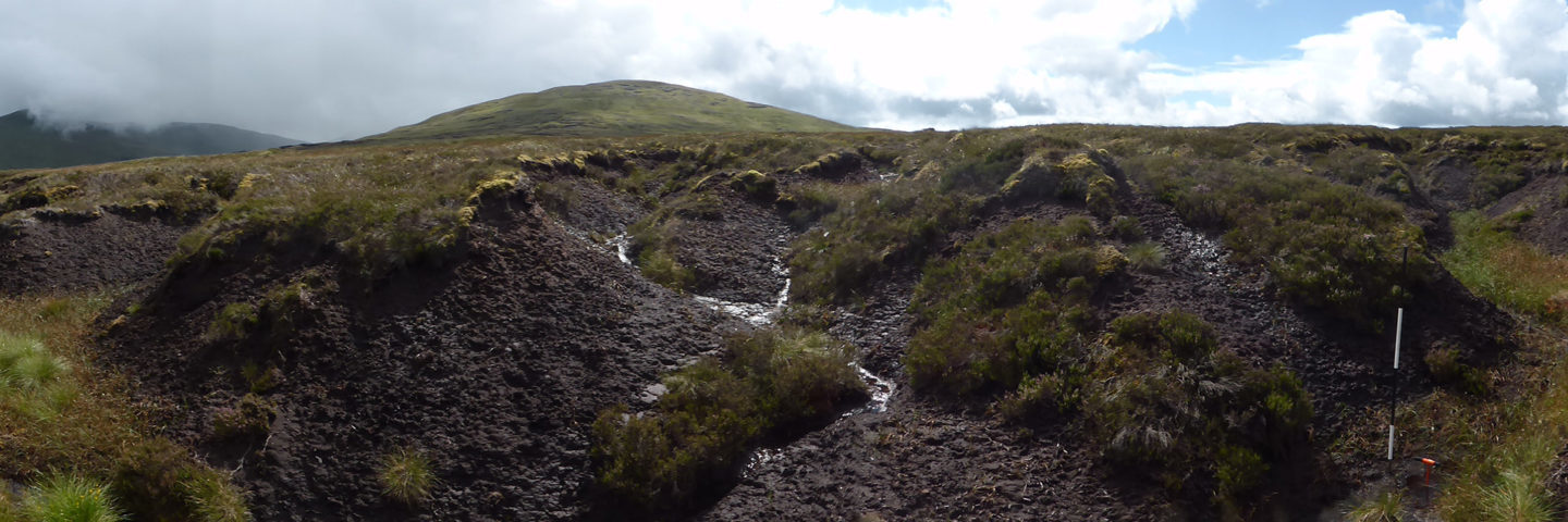 peatlands-in-poor-condition