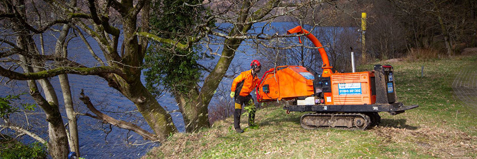 worker-removing-rhododenron