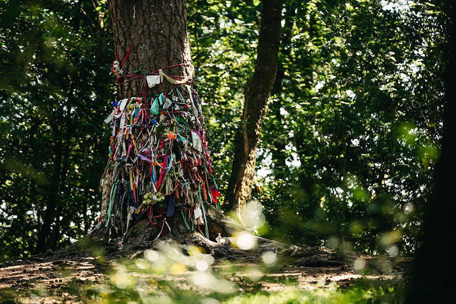 fairy-tree-with-ribbons-tied-to-it