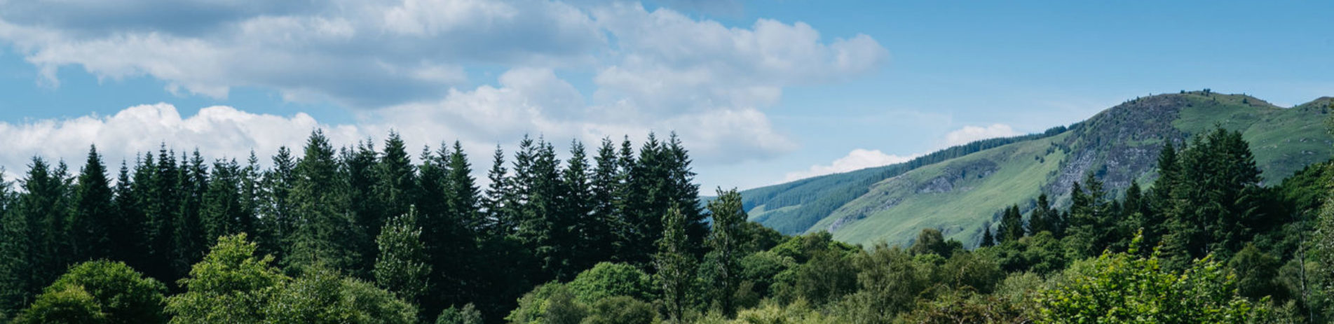 forests-with-doon-hill-in-background