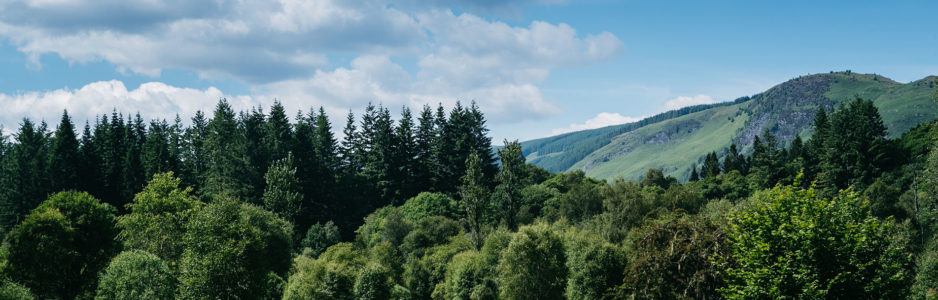 forests-with-doon-hill-in-background