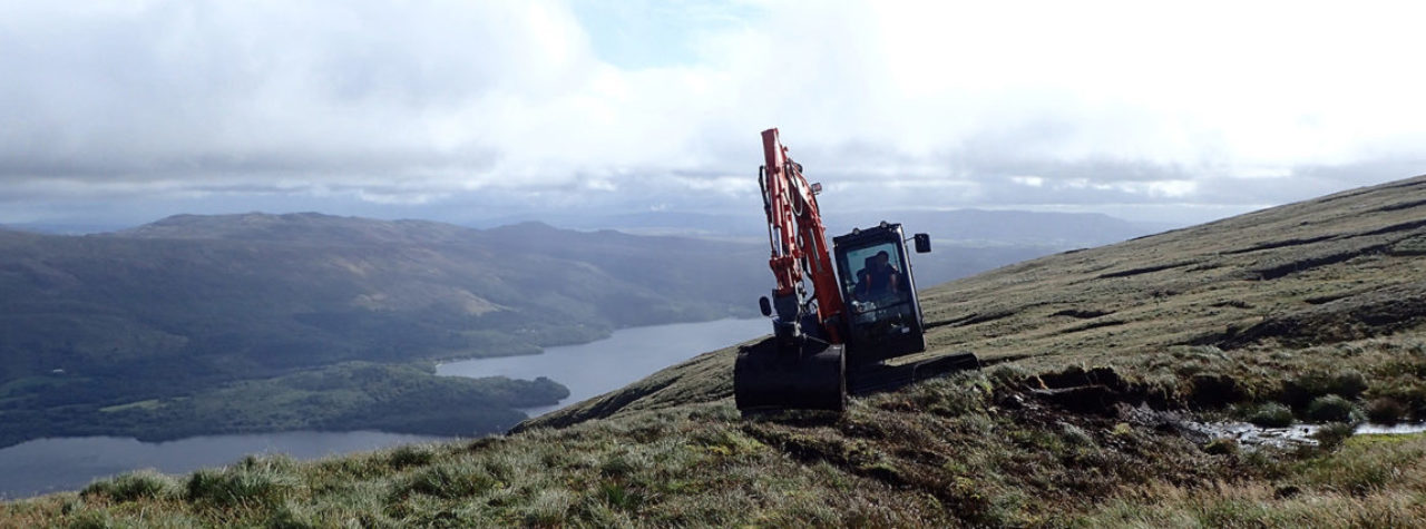 peatland-restoration