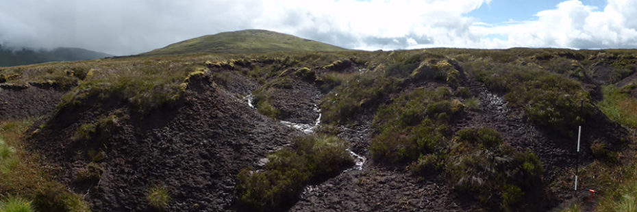 peatland-in-poor-condition