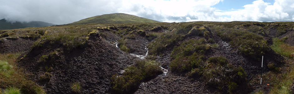 peatland-in-poor-condition