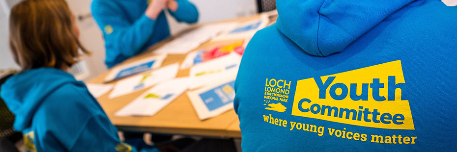 blue-youth-committee-hoodie