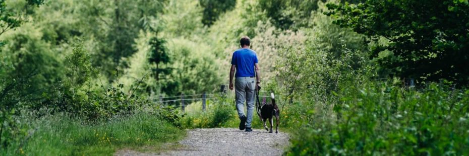 man-walking-with-dog-on-wooded-path