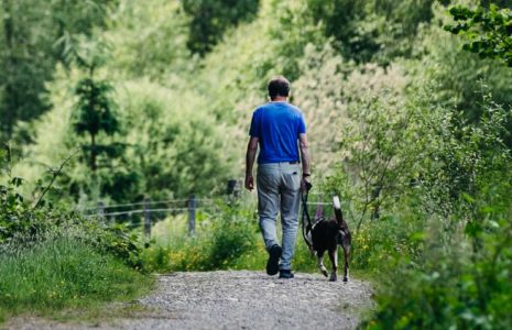 man-walking-with-dog-on-wooded-path