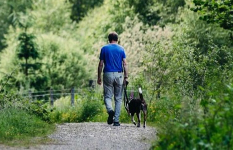 man-walking-dog-on-leafy-path