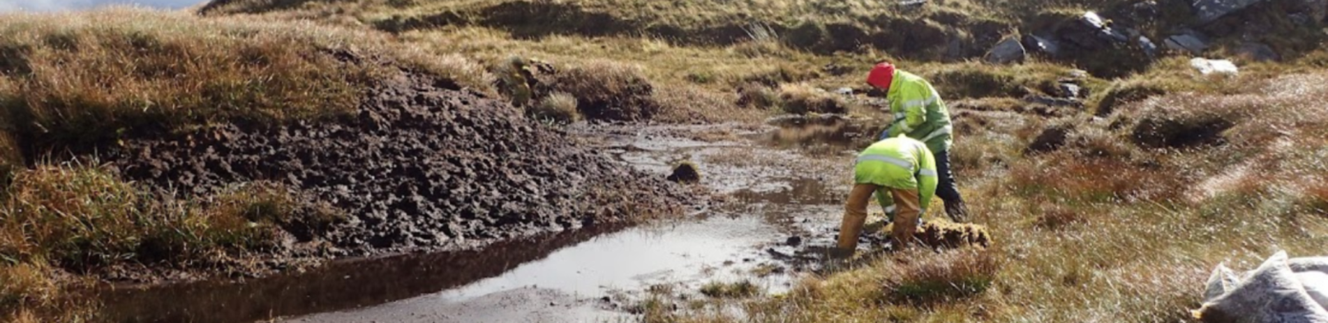 people working in peatland next to a river