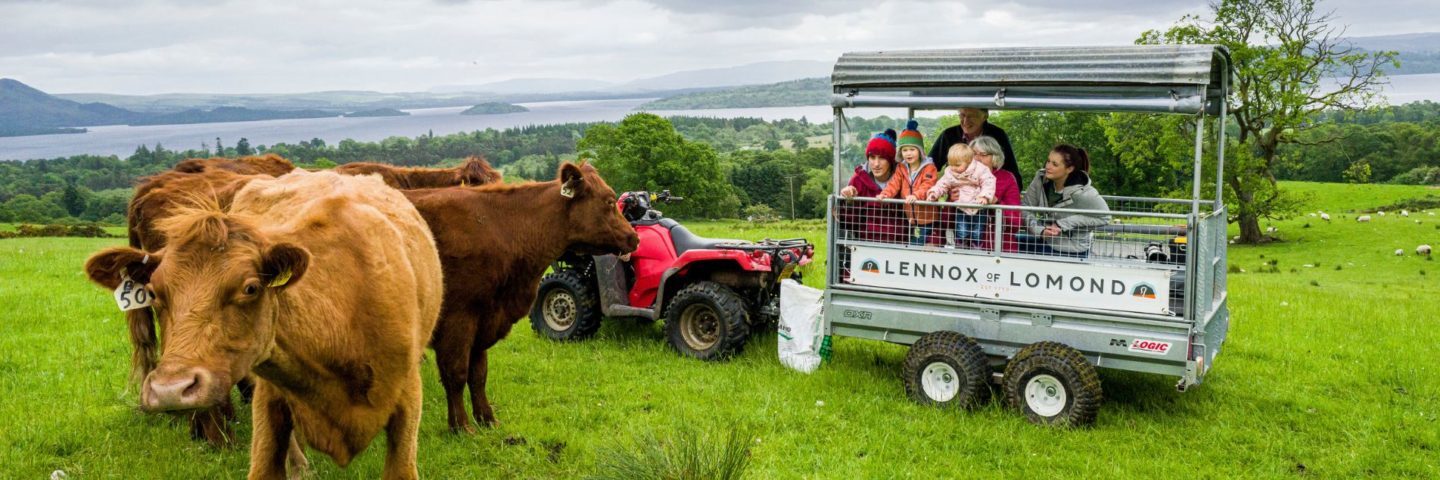 Farm tour at Lennox of Lomond