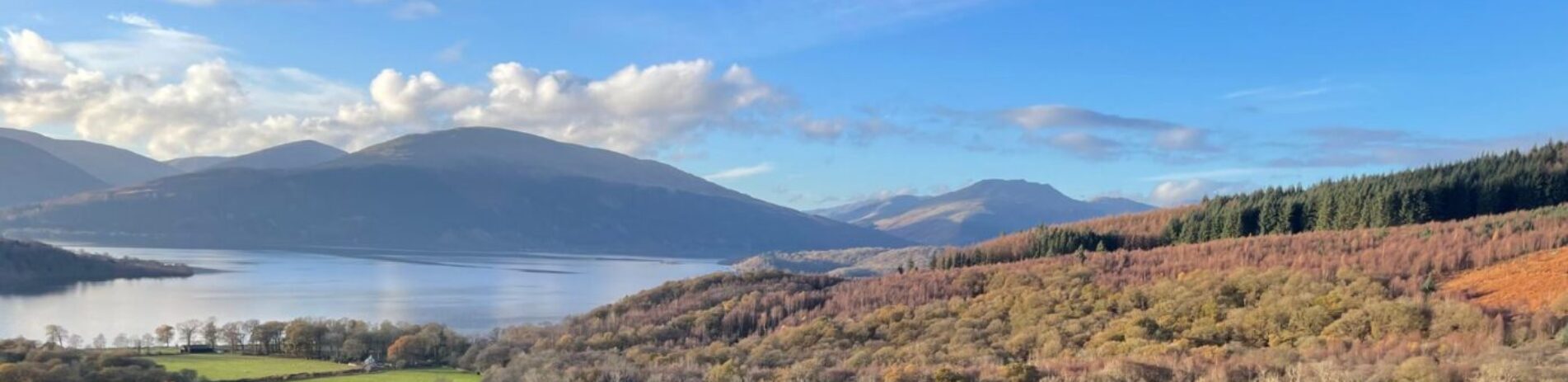 View of Loch Lomond and mountains taken from Cashel Forest path