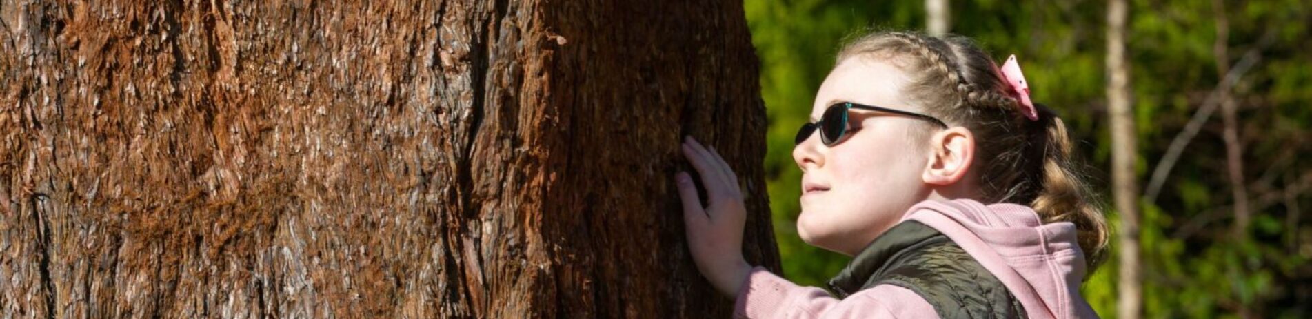 child in dark glasses touching the bark of a tree