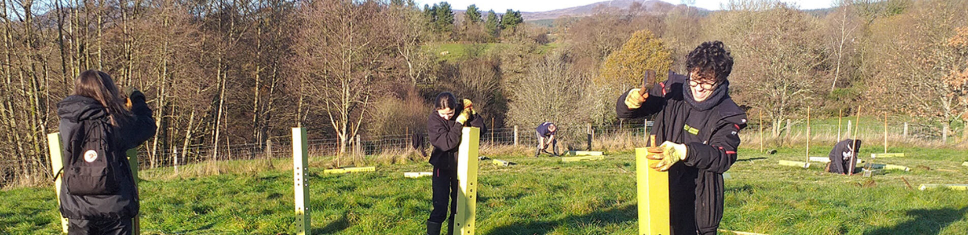 Group of young people planting trees