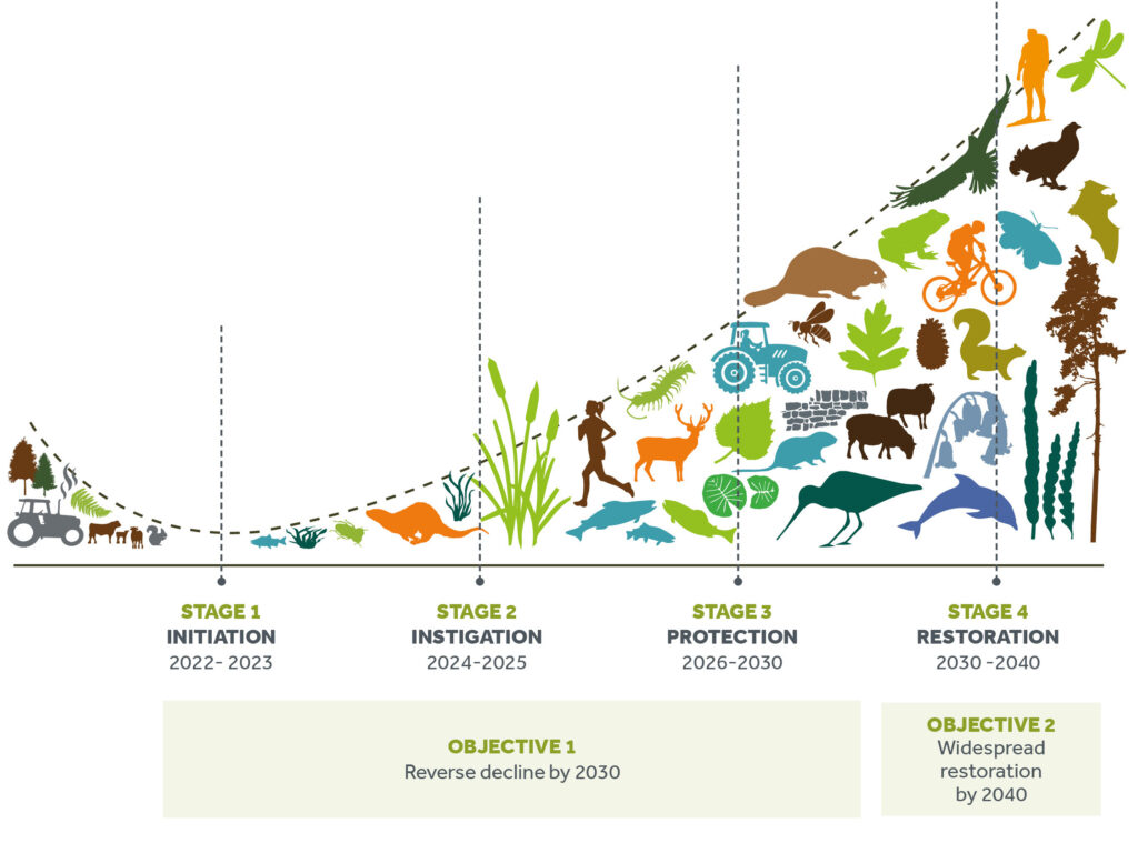 Illustration showing 4 stages of the Future Nature timeline
