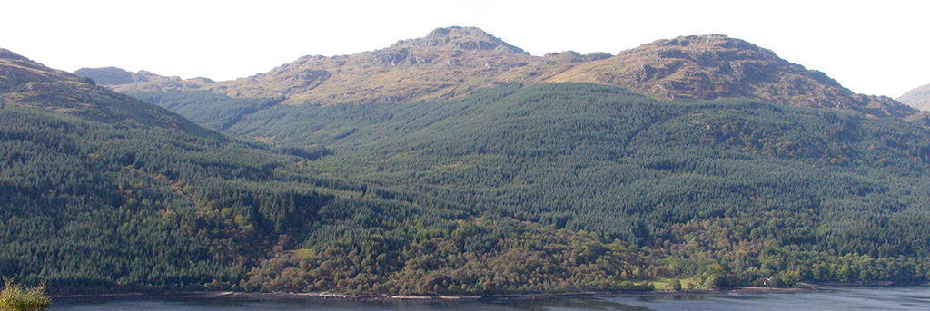 Productive woodland 