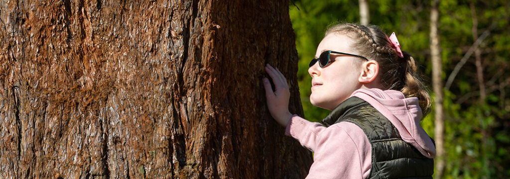 Girl touching bark of a large pine tree