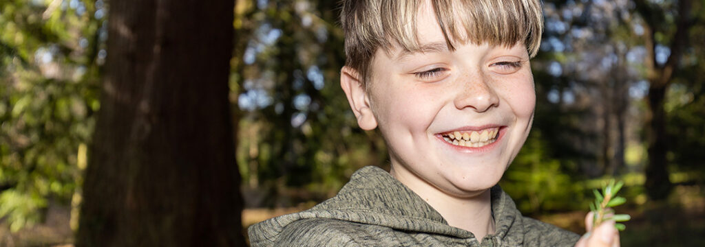Boy smiling, enjoying nature, holding a pine leaf