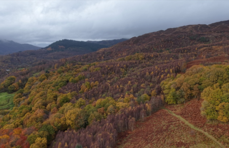 Results announced for National Park Authority Board Local Elections
